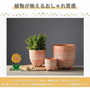 fffffffffffffcf7c001c001c001c001c001c031c231c381c2c1c001ffe1ffff0000000000ababb300ab23b300ab120e