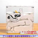 fffffffffffffffffffff87fe47fe0eff00b00db040001f803f8000000000000