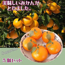 00004b040804a91083601f000d4002c041fc2bfe03f507fefefffff7ffffcfbf