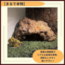 000069ff5001780b78017b8172f376f97209700370014e314921407741ff7fe70101010101100f0e011611140132322e