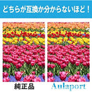 0000ffff0400ffffaf8f818180018081808180018001800080018283ffffffff