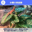 ffffffffffff00860021e610ee02fa10f08cfc84f000e3ca02025604ffffffffa3a3a3a30c0992800e2b2180060b1f49