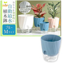 fffff100d800d804f800f386fb82c382c202c7fbffe0ffe0ffe0ffe1fff9ffff0000000000803030008c3d8e00000090