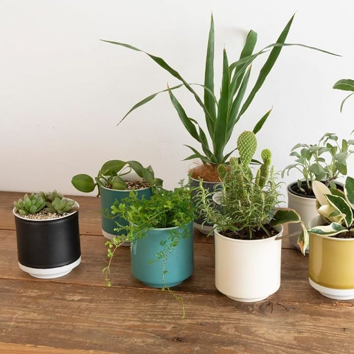 fffffffffffbffe7ffefff4fffcfff84f1870006000200384038003800000004221c2b001b1b312b10320f301214821c