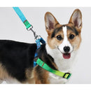 fffffff9ff79f71bfb01ffc1fc811ef3017b00770077023f013f001f007f407fabab9cababab0f12a29c9cf5189c6b20