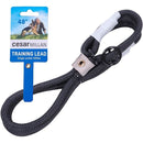 ffffffffc7f9c3f0c3cce7d9c383f707f61ff07fc6ffdeffbdffc3ffefffffff00000000002b00000095ab0000000000