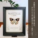 17f0f9f0fef0c010cc10dfd0dfd0dfd0ded0dbd01bc05fd0dfd0dfd0c010c01054fca515f509931507172215141e1715