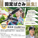 fffffef4b8f4ffff8040f483108eb097017f08a06021ffe4dc00a6c0ffe4ff702b0000001c26a45544a0ba000000182d