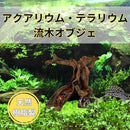 7fffffffd9fcfffffdbfffff100120040000200150001000f802f8c23ac0ba056b46447b463355756b6b5c4f3023122b