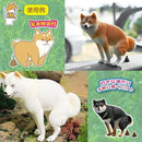 80ff31f048dd44f5ace03ee03c714bf50090fc067fcf1f801fc00b90030004034b560000641a9210373a3d5c491e2420