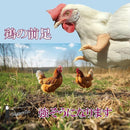 fffffffffe7fff3fbffffffcffebffe3bff000100400200100270010144000409191919191d5911f3292301c2e222613