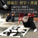 0000064000002000032402678002e018e161e0f1ffc1fee1abf8fff1c27fecff