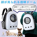 fffff3e7fffffeafc1ffe700afc898dcd8f2d8a29fa69fdedfeeff38ef00e1200000808000ab0000009c009eaf9ed599