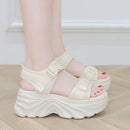 ecffecffecffecff8c00ecaefcfff4bf15b81d1819f807d01fb83ff81ef00822a407a4a4a20a1b2b170919c717001212