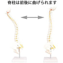 c003c003fff39ff7d817eff7e7f7f7f7f7f7e7e7f7e7f3f3e7e3f7e7e1e3ffe3