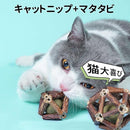 fffff2efffffff82ff9eff08fe00fa00ff0cffe7fbc0f9e0f860f800f821fff08181818181818197808493007f7e100b