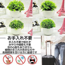 ffff63e3c1c2fafefffff7e7e383e3f7fefeecfffff6e1f8d7fcd5fc8d6cd72032362b1437312b3233352b3600000000