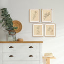 6fff4fff0fff1fff1ff707ff03ff03ff07fb0fff03ffffdfefdfc05fef5fffdf2424242b20221b1a1f152b1b33324732