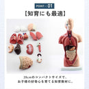 fffffe3fffdffffffff3f9f3fcf3c0e1c2f1c0f3fbf1c0f1c0f1fffffeffffff9700000097b3ab1e9ff200ff9f1600f9