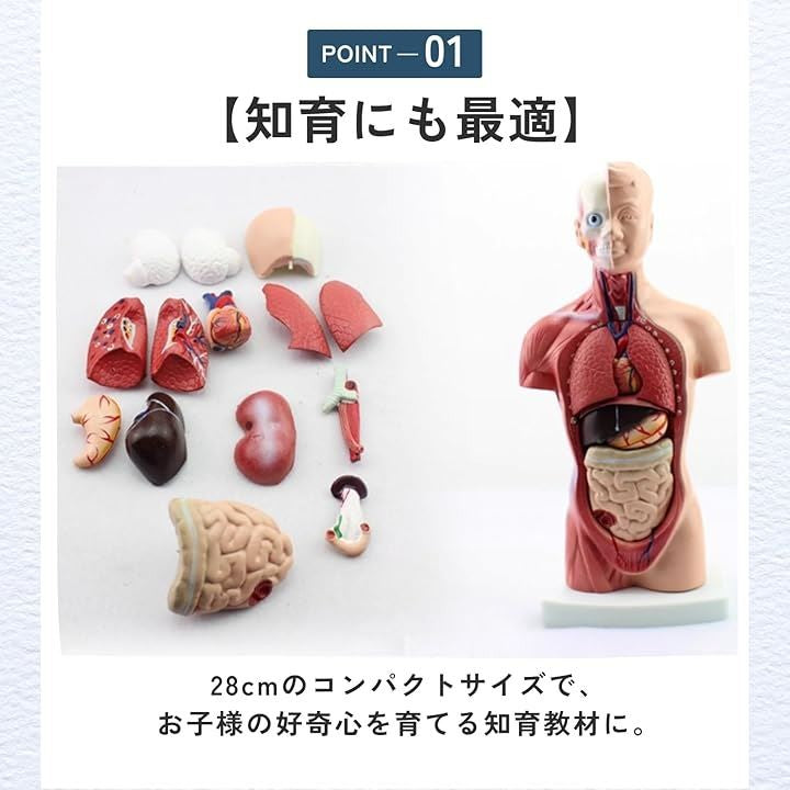 fffffe3fffdffffffff3f9f3fcf3c0e1c2f1c0f3fbf1c0f1c0f1fffffeffffff9700000097b3ab1e9ff200ff9f1600f9