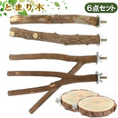 c7ffbbbeed9fc001cfffc003ff87ffffc301ffcf801bff03f0fffde1fbbbf7c4d5210000000000000016171300110000