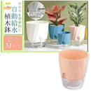 fffff100d800d804f800f386fb82c382c202c7f3ffe0ffe1ffe1ffe1ffe1fff3000000000080303000093d8e00000010