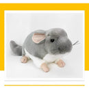 000000007fff7fff7fff7e0f780759054003440772df7f2f7fbfffffffffffff