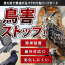 00006560ffe1c459c7f2846ebee205121ac02db0fc00a404fc06ec24e400c400000000000000801c12ff2bb1001cfffd