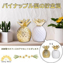 ffffe42af920fff0fff4fcec3cf040f480fe407f43bfff9fffe4ffe6f727ffffebebeb09ebeb090b170e120b0000001e