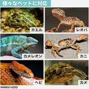 ffffffffa0b090809a96c383ffffd2f7f4b780cf9fef80808080848080828f837f7f7f9c3027800f245460147a100017