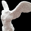 0000701e703f387f38ff19ff7fff7fe07fe07fc07e007c003c003e003f003f00