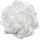 fffffffffe7ffc3ff80fe403e003e487e003c001e021f001f003fc07fe1fffff0000000000001c000000222b00002b00