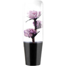 ffffffffffffffbffffffe3fff7fffbffe3fff7ffe3ffe3ffe3ffe3fffffffff00000000000000000000ea0000000000