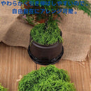 f003f000f00ef80fb007ec1b811f940f3c29400ffc1ffe0d9f1be9aff54793a2173f625717101f120e120f1313133c14