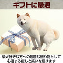 000000000080fffffafffbfff8fffc7fe85de12fbf650d97e59f81ff8aa6e7ef2b24241f292d2e2b2b241a1a29152417