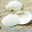 0a104fc307f01f6017c100c4007f058f0fff3fff7fff7ffe7fb80c0008102464221f241f1b295e25244e44441f5c5a5e