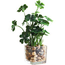 ffffff9ff9dfffbffe0ffc07f66fee1ffc0ff83ff81ffe1ffe1ffe1ffe0ffe0f0000000000005f0000003db900001300