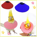 cfff871f020f8407fe0ff7bff7fff3fff3ffe1e70083c183e383e3c3f783ff83