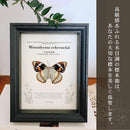 17f0f9f0fef0c010cc10dfd0dfd0dfd0ded0dbd01bc05fd0dfd0dfd0c010c01054fca515f509931507172215141e1715