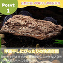 fffffffff800f1000e001fe0467c434811688120000000000000ffffffffffff35352222f21297eb0e0efc123cf50710