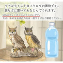 ffffefcdffffffff801fffff7bfc726e667e727e623a601e451e109e040e001e2b30242231ff0022211c128f1c1a1f90