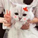 ffc1ffc3bff73feebfaf979e06ce2f7ec37fe5b031f403c63f860fbf0fff0fff141407fc0e19150f1509090a001a1707