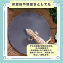 fffff81fdffdc001c001c001c001c001c081c0c1c015c00bc1ffc1ffe1a7ffffc09393938213b11182ae10b182ad2d2b