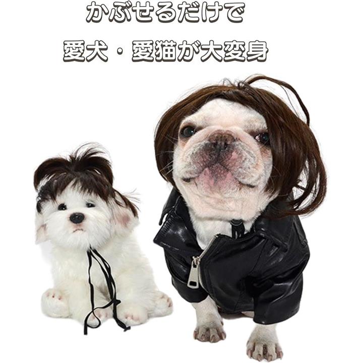 fffffd7ff2cfffffffcbffb1ff01f349e38bf94bff23f901ff83fb03f8d7fff7000000000000000900121b0b003100b3