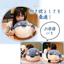 ffffffffe0ffc07fc01f803fa13f8f77cf3fc77ff1f7fc00fe88fc30fd1efd9c80959500ab0e120080120b8000009c0f