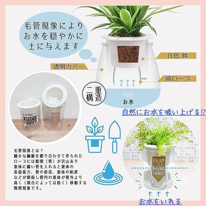 自動吸水 植木鉢 底面 吸水 ニュアンスブラウン プランター セット 観葉植物 多肉植物 野太い 花 ハーブ サボテン 室内 ベランダ MS  売買されたオークション情報 落札价格 【au payマーケット】の商品情報をアーカイブ公開