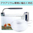 ffff8000a3a1ffffffffdffffffb9ffb80c7ffebdffbcf9f83ff83ff81ffff1f000000000000000000f5806b00129e92