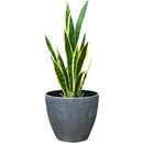 ffffffffffbfff3fff7fff7ffd3ffe3ffe3ffe7ffc1ffc1ffc1ffc1ffe1ffe3f00000000000052000000520000009000