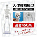ffffffbbff21ff21eca8efffe421ecbfec25ec2dec01c571e7ffc7e7eeffefff0000006b2b2b000000f5902b0000ab6b