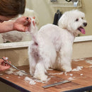 07d907ff07ce01dff1de4bfdbff98fffffff05df45df03d8319e03020f840000